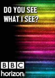 BBC 地平线系列: 你看到我所见了么海报